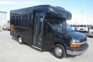 15 Pass. Mini Bus